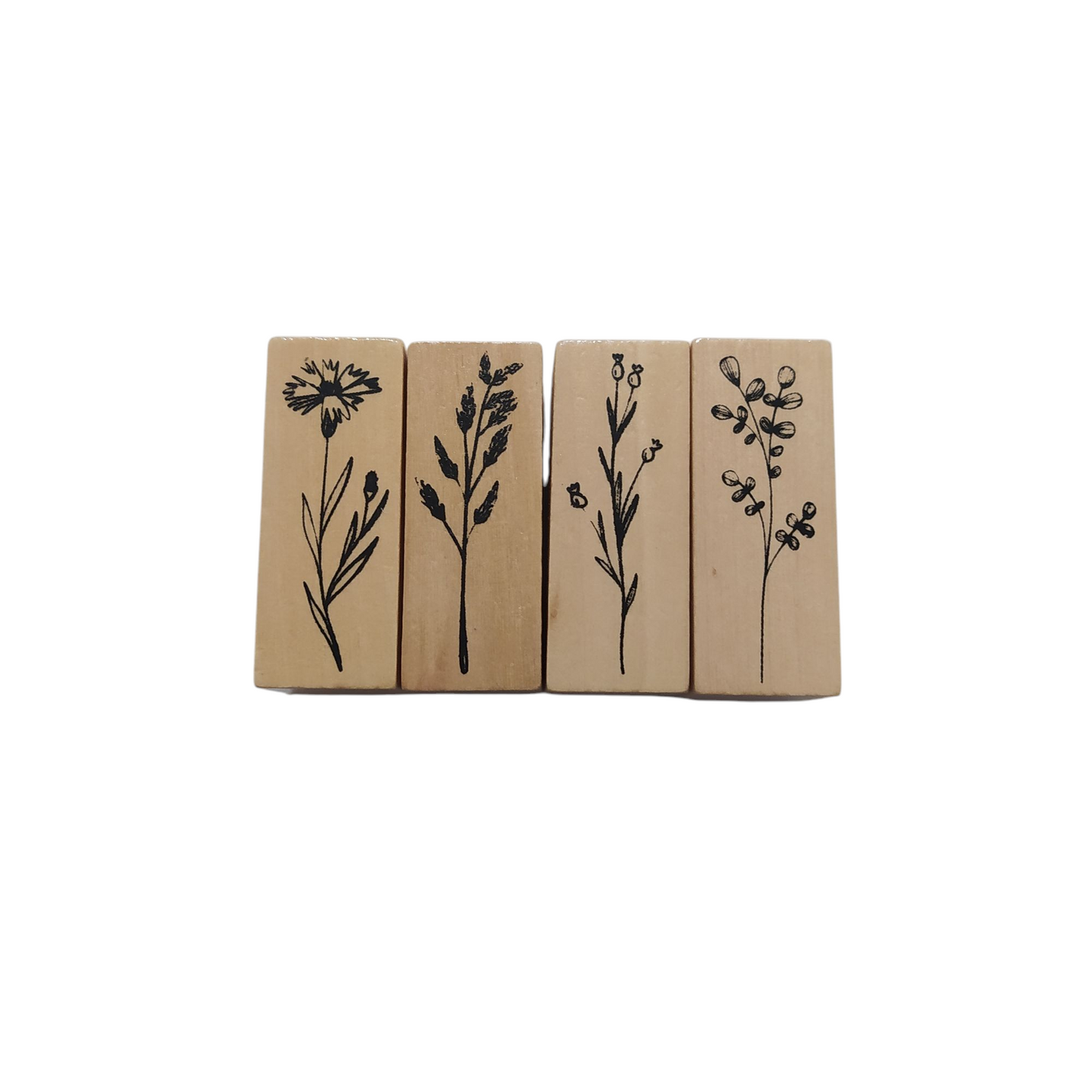 Σφραγίδες κλωνάρια φυτών